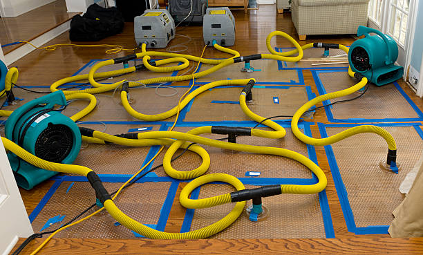 Professional Water Damage Restoration technician working in Washington, GA
